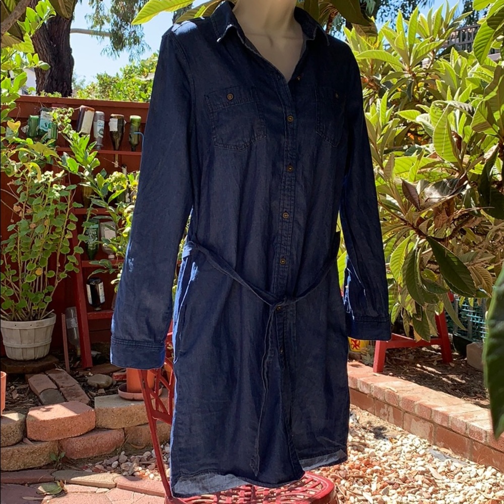 Maison Jules Dress